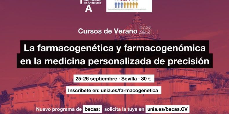 curso de verano